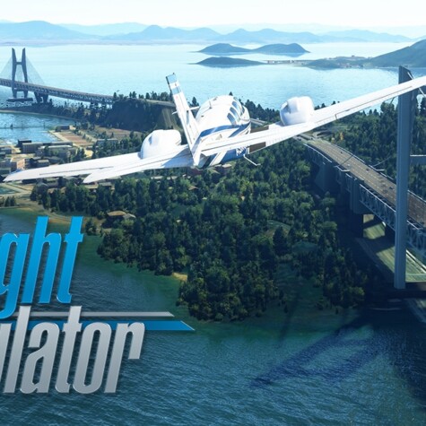 Microsoft Flight Simulator