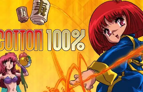 Cotton 100%
