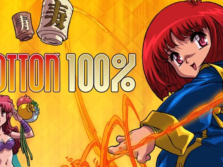 Cotton 100%