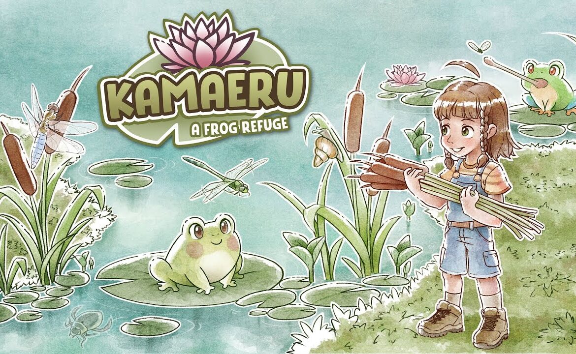Kamaeru: A Frog Refuge
