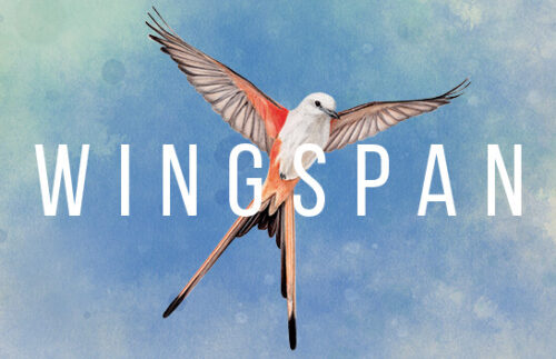 Wingspan