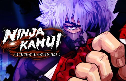 NINJA KAMUI: SHINOBI ORIGINS