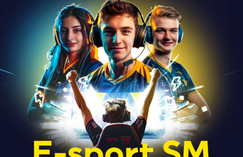 SM i E-sport arrangeras i Älmhult