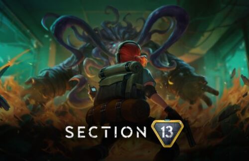 Section 13