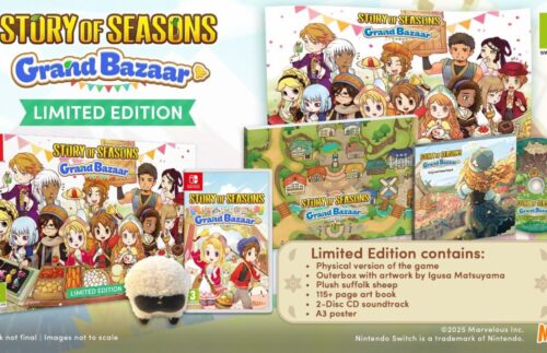 STORY OF SEASONS: Grand Bazaar