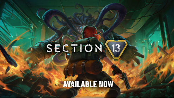 Section 13