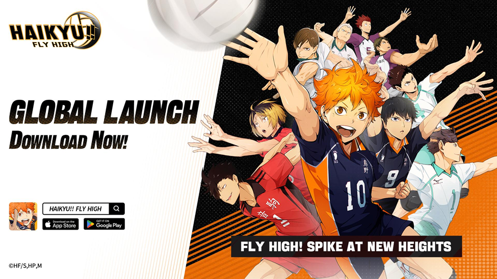 HAIKYU!! FLY HIGH